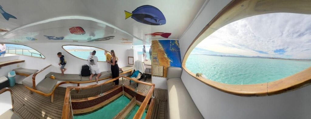 WhatsApp Image 2025-10-31 at 3.17.23 PM