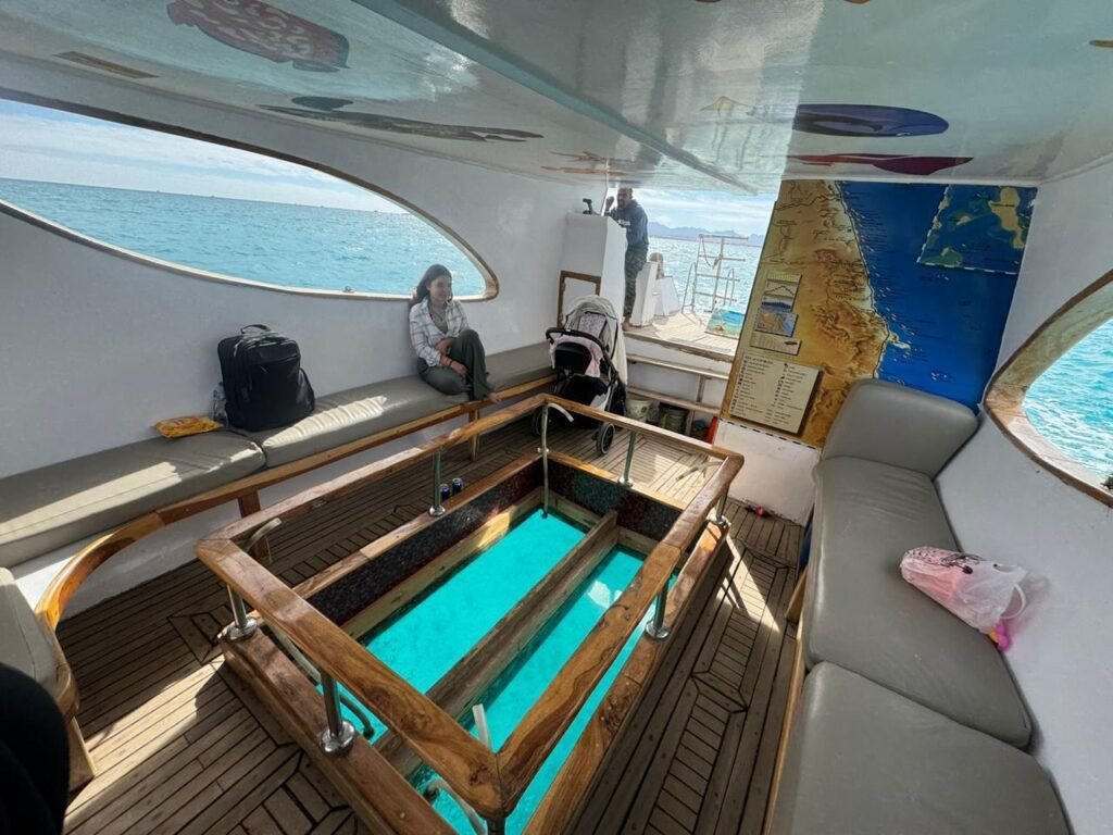 WhatsApp Image 2025-10-31 at 3.17.24 PM (1)