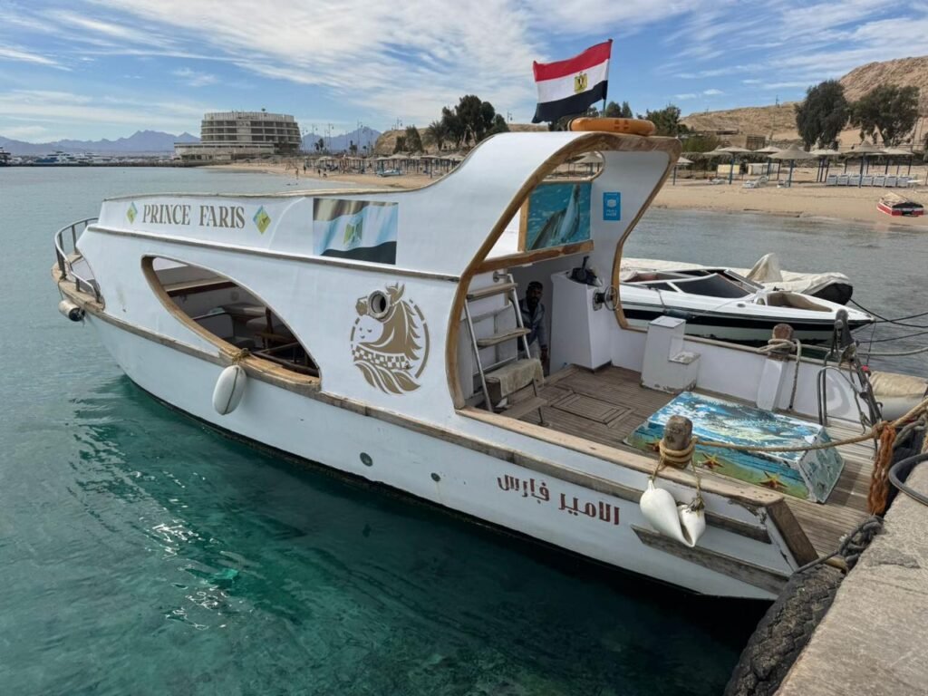 WhatsApp Image 2025-10-31 at 3.17.25 PM (1)