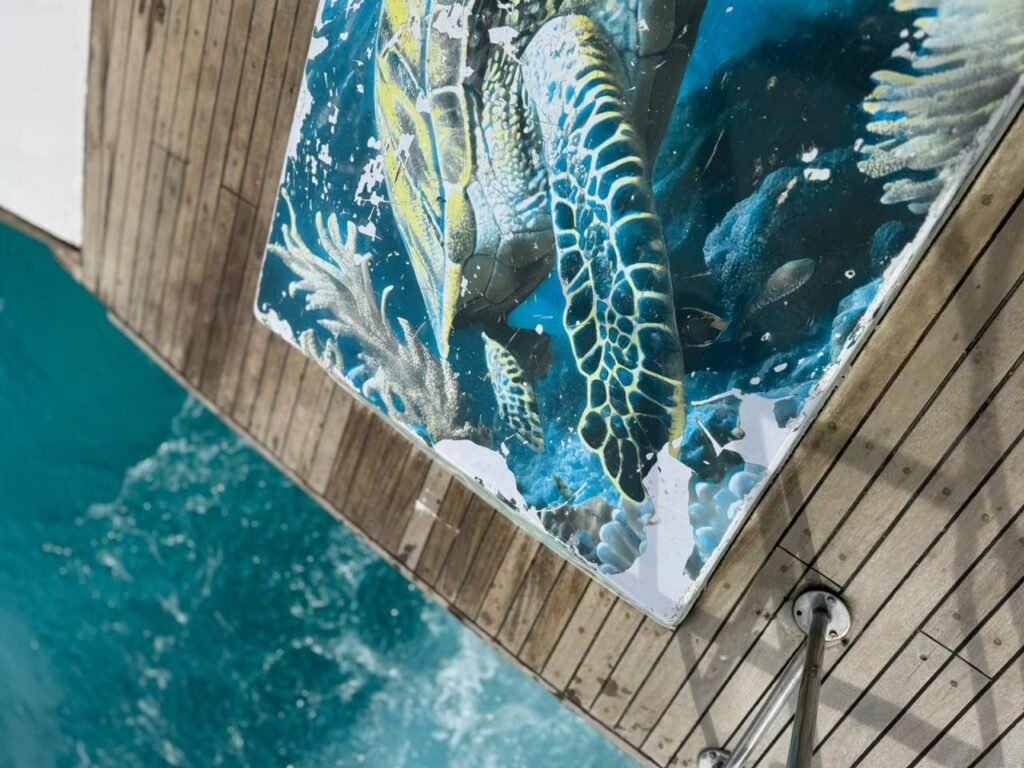 WhatsApp Image 2025-10-31 at 3.17.27 PM