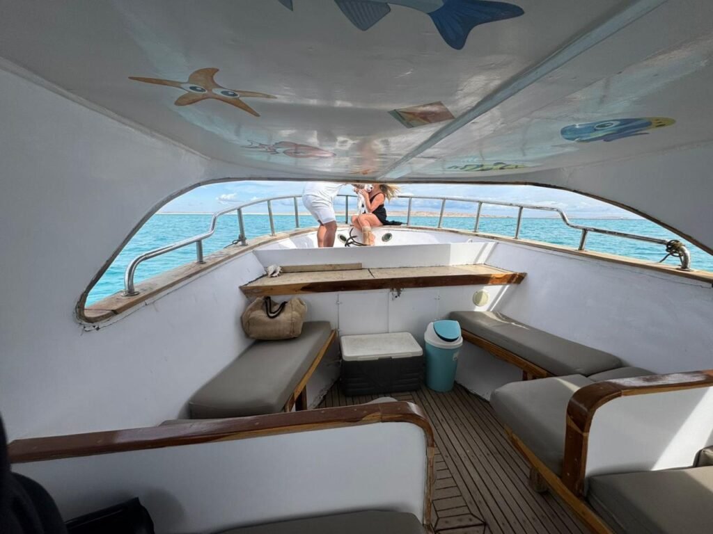 WhatsApp Image 2025-10-31 at 3.17.27 PM (2)