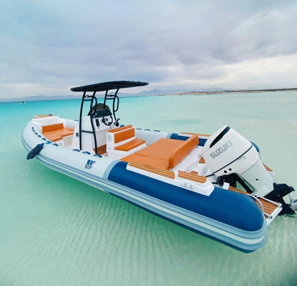 WhatsApp Image 2025-10-31 at 3.19.29 PM