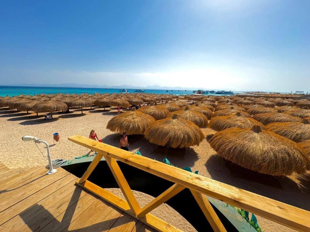 WhatsApp Image 2025-10-31 at 3.19.29 PM (3)