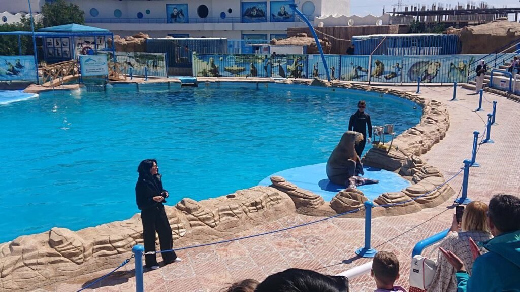 WhatsApp Image 2025-11-01 at 12.01.33 AM (1)