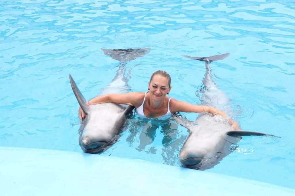 WhatsApp Image 2025-11-01 at 12.01.35 AM (1)