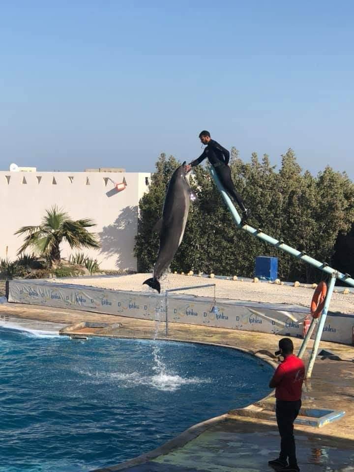 WhatsApp Image 2025-11-01 at 12.01.38 AM (1)