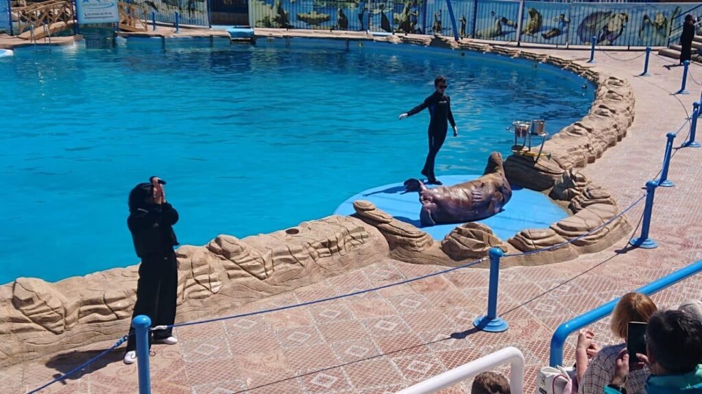 WhatsApp Image 2025-11-01 at 12.01.38 AM