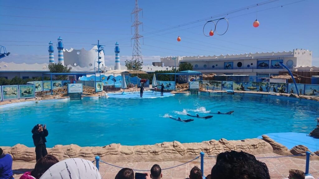 WhatsApp Image 2025-11-01 at 12.01.39 AM (1)