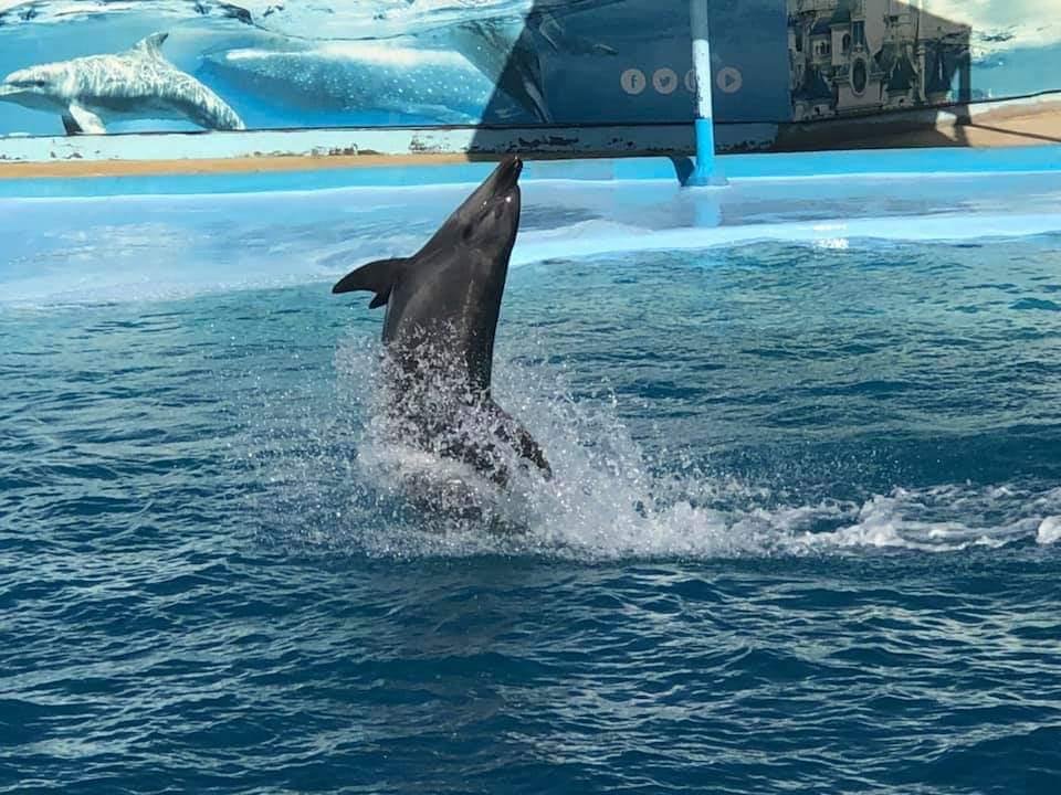 WhatsApp Image 2025-11-01 at 12.01.41 AM