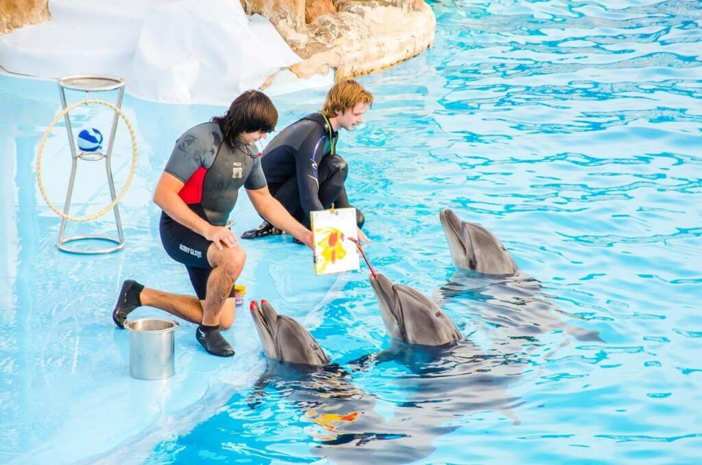 WhatsApp Image 2025-11-01 at 12.01.42 AM (1)