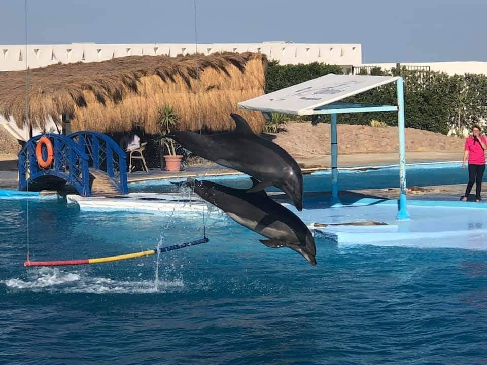 WhatsApp Image 2025-11-01 at 12.01.42 AM