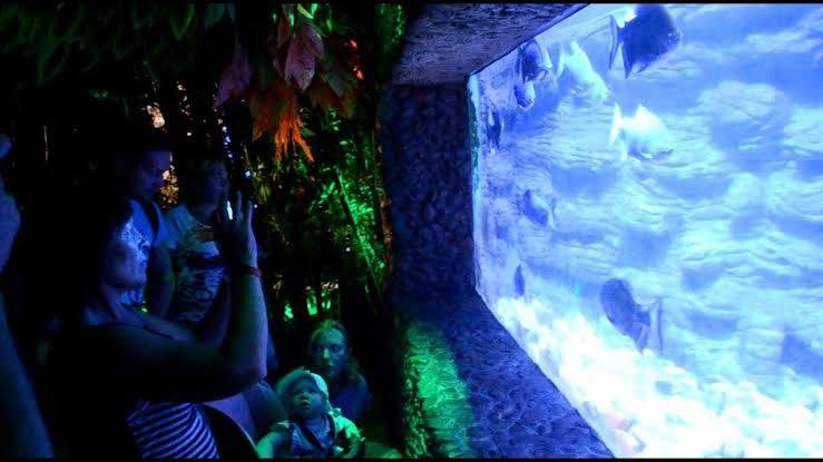 WhatsApp Image 2025-11-01 at 12.10.56 AM (1)