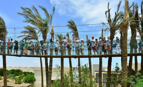 WhatsApp Image 2025-11-01 at 12.10.56 AM