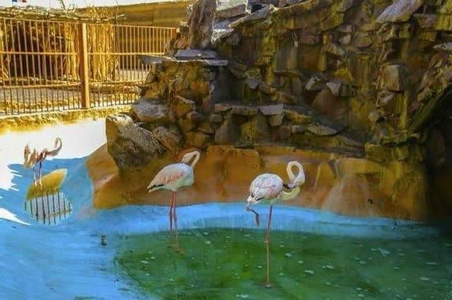 WhatsApp Image 2025-11-01 at 12.10.57 AM (1)