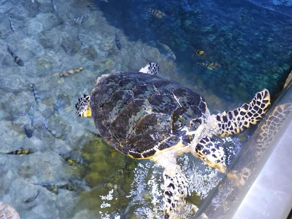 WhatsApp Image 2025-11-01 at 12.10.58 AM (2)