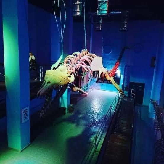 WhatsApp Image 2025-11-01 at 12.10.58 AM