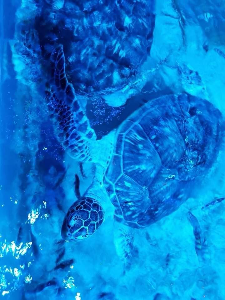 WhatsApp Image 2025-11-01 at 12.10.59 AM