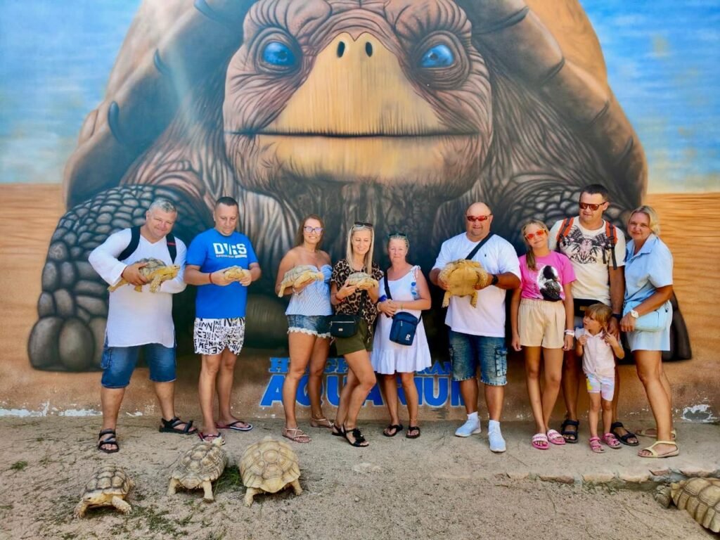 WhatsApp Image 2025-11-01 at 12.15.41 AM (1)