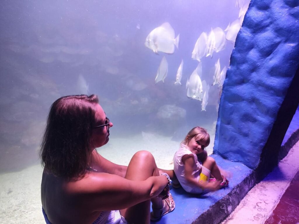 WhatsApp Image 2025-11-01 at 12.15.42 AM (3)