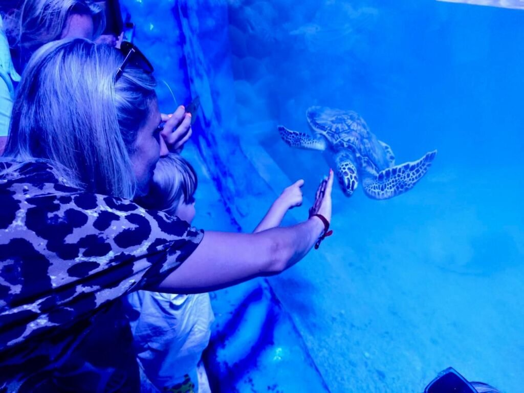 WhatsApp Image 2025-11-01 at 12.15.43 AM (1)