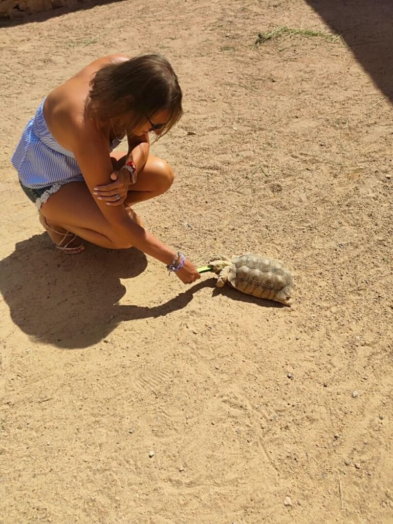 WhatsApp Image 2025-11-01 at 12.15.43 AM (2)