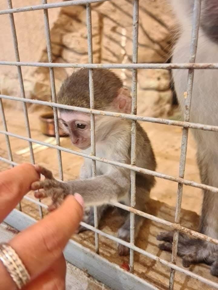 WhatsApp Image 2025-11-01 at 12.15.45 AM (1)