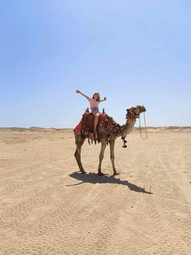 WhatsApp Image 2025-11-01 at 8.03.13 PM