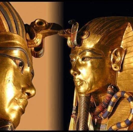 WhatsApp Image 2025-11-01 at 8.34.16 PM (1)