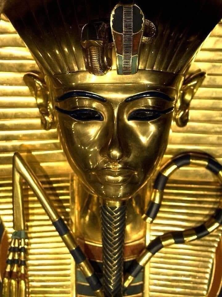 WhatsApp Image 2025-11-01 at 8.34.16 PM (2)