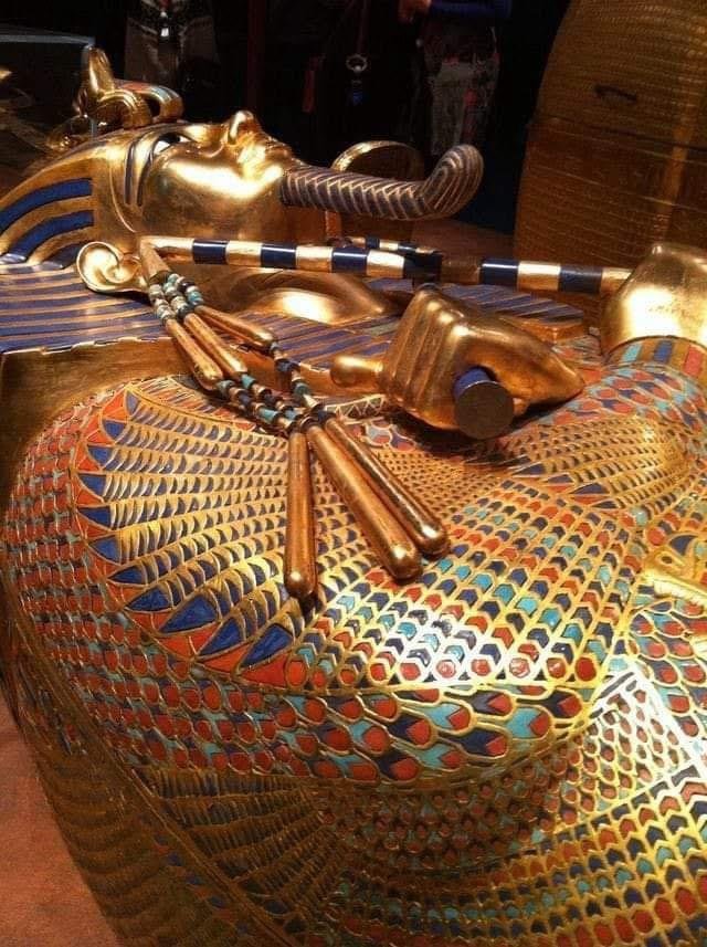 WhatsApp Image 2025-11-01 at 8.51.33 PM (2)