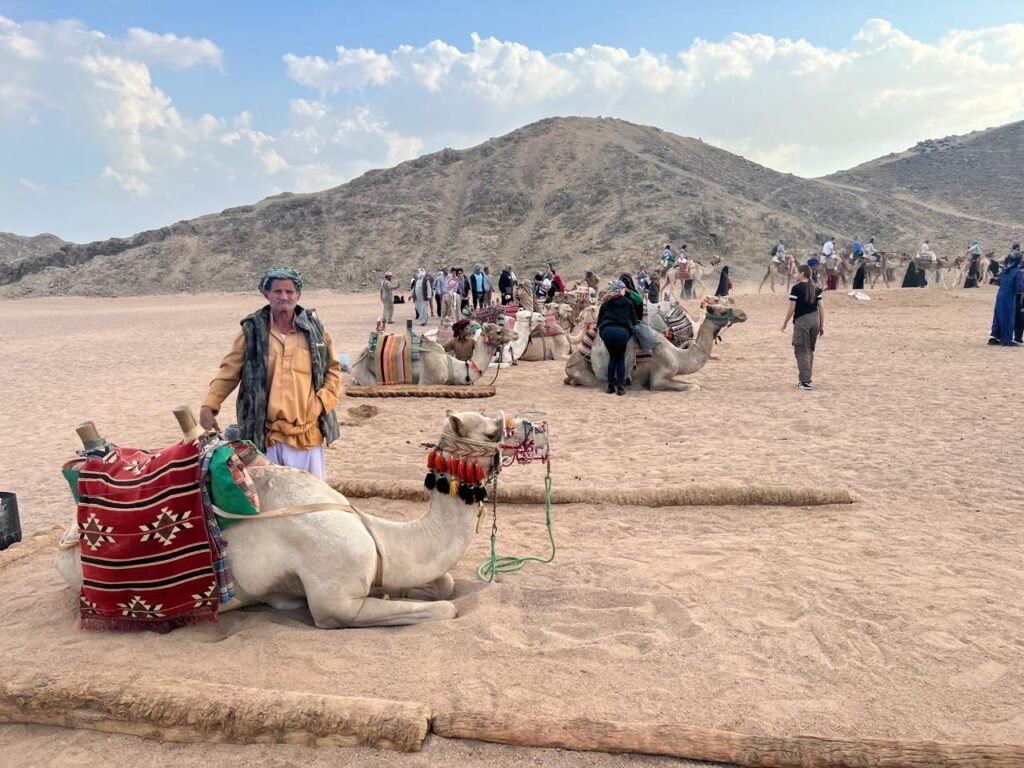 WhatsApp Image 2025-11-03 at 1.42.28 AM