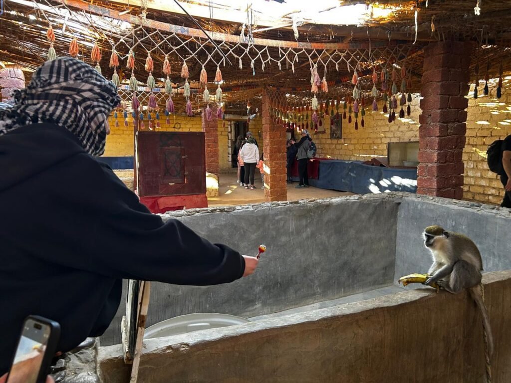 WhatsApp Image 2025-11-03 at 1.42.32 AM (2)