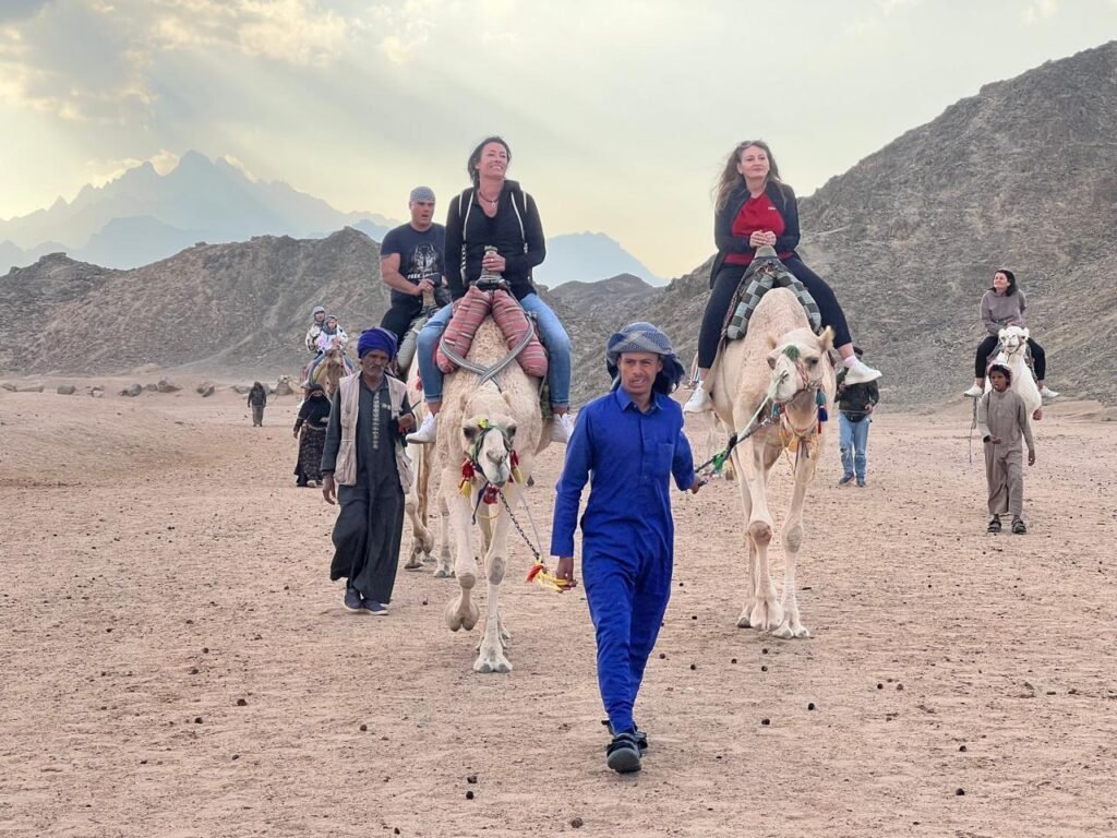 WhatsApp Image 2025-11-03 at 1.45.40 AM