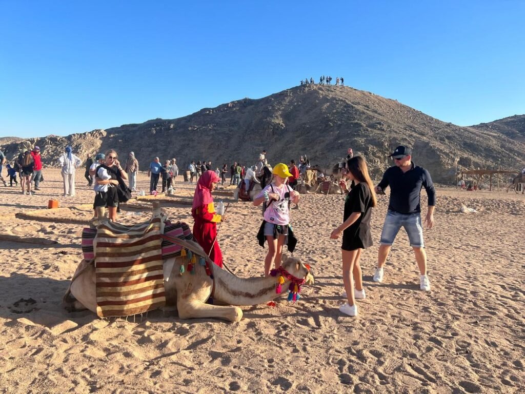 WhatsApp Image 2025-11-03 at 1.45.41 AM (3)