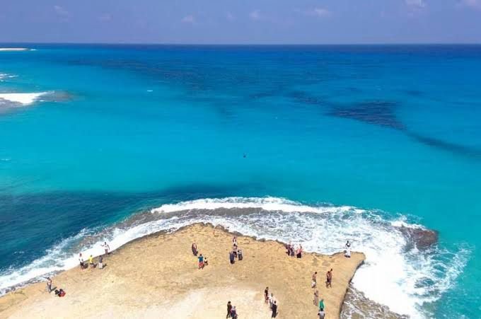 WhatsApp Image 2025-11-04 at 1.10.14 AM