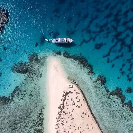 WhatsApp Image 2025-11-04 at 1.10.44 AM