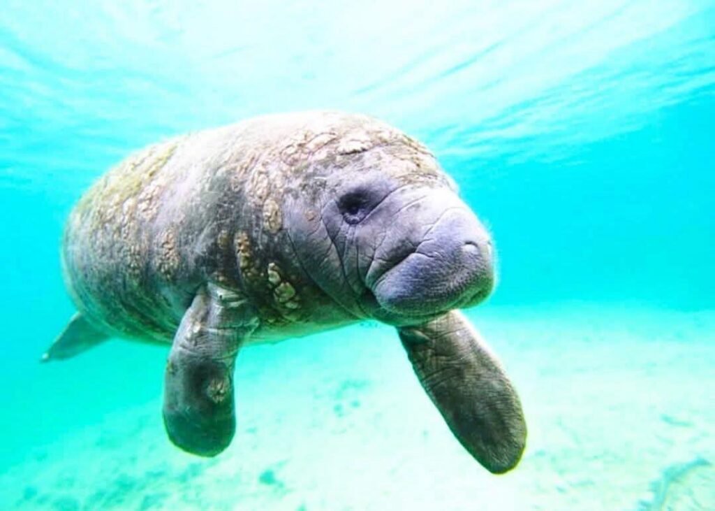 WhatsApp Image 2025-11-04 at 1.13.15 AM (1)