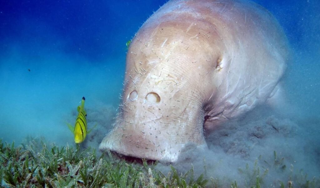 WhatsApp Image 2025-11-04 at 1.13.16 AM (2)