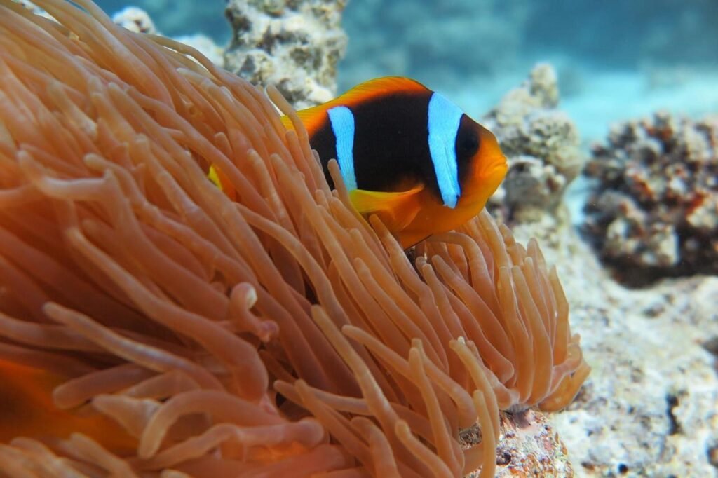 WhatsApp Image 2025-11-04 at 1.20.02 AM