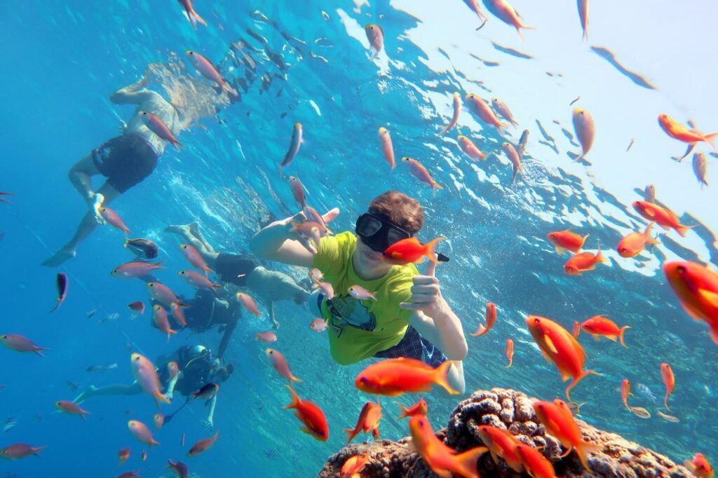 WhatsApp Image 2025-11-04 at 1.22.53 AM (1)