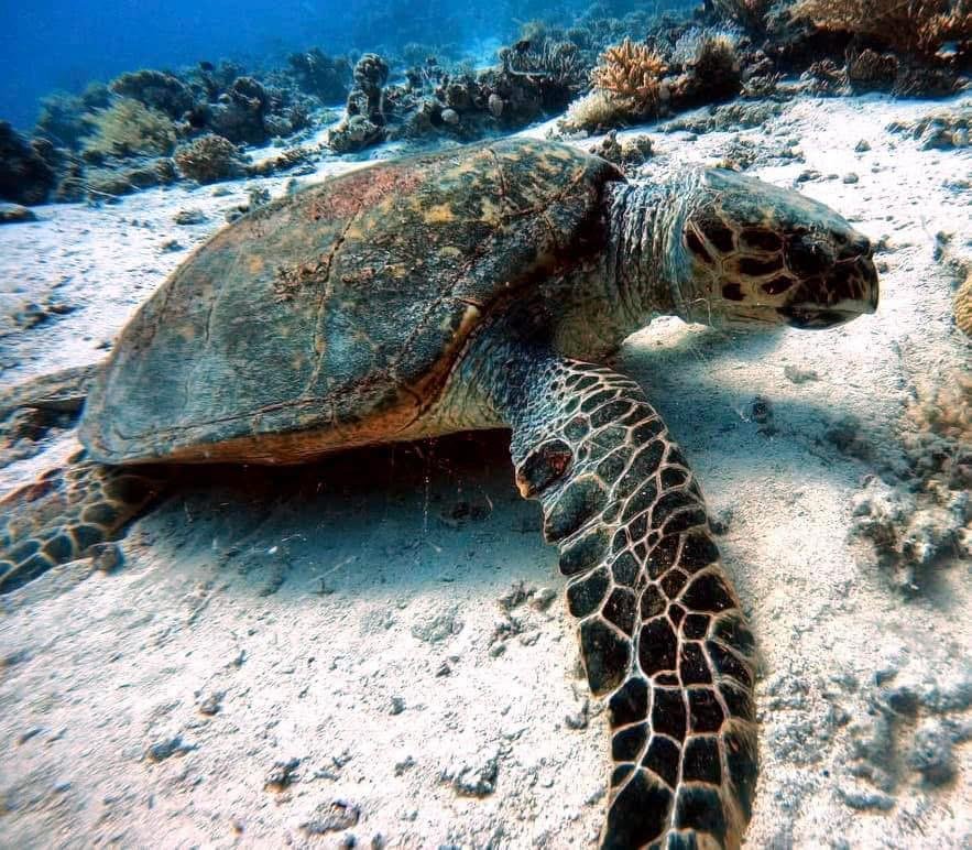 WhatsApp Image 2025-11-04 at 1.27.43 AM (3)