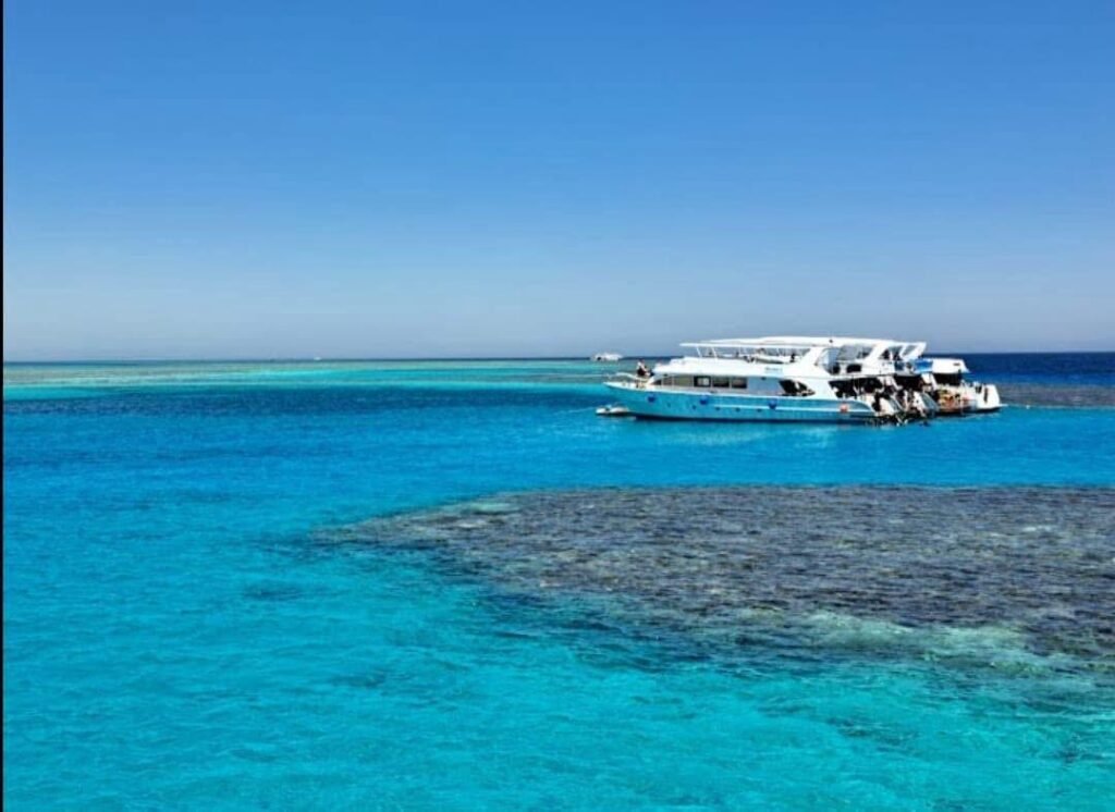 WhatsApp Image 2025-11-04 at 1.27.43 AM