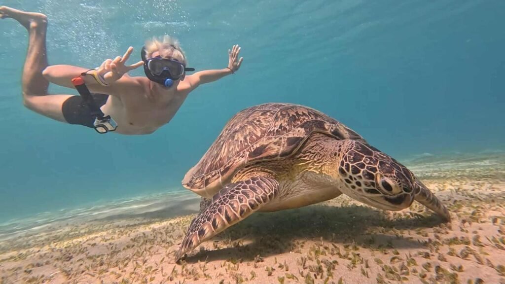 WhatsApp Image 2025-11-04 at 1.27.44 AM