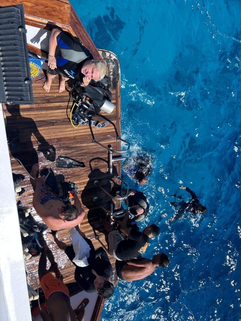 WhatsApp Image 2025-11-04 at 1.34.09 AM (1)