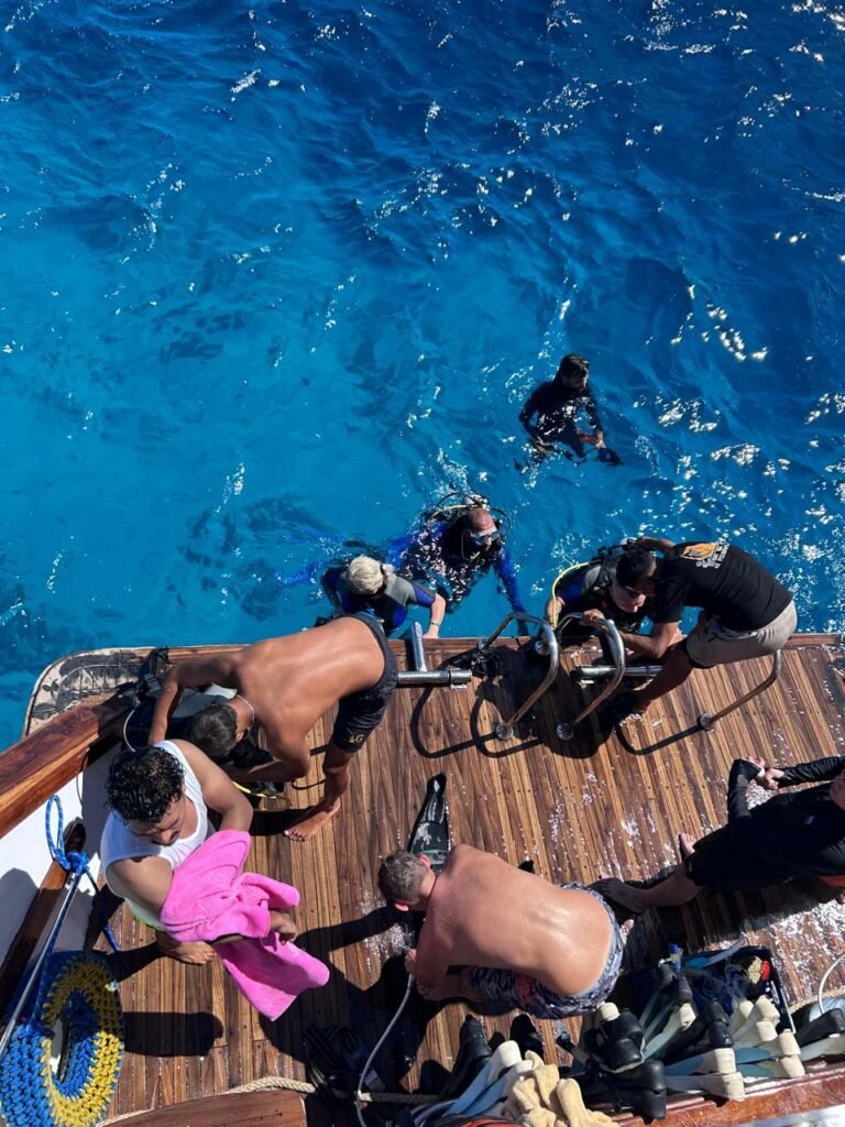 WhatsApp Image 2025-11-04 at 1.34.09 AM (2)