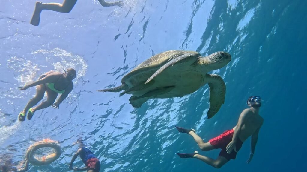 WhatsApp Image 2025-11-04 at 1.44.31 AM (1)