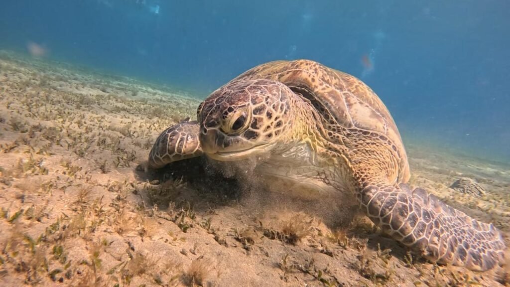 WhatsApp Image 2025-11-04 at 1.44.31 AM