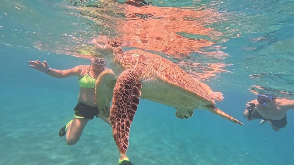 WhatsApp Image 2025-11-04 at 1.44.32 AM