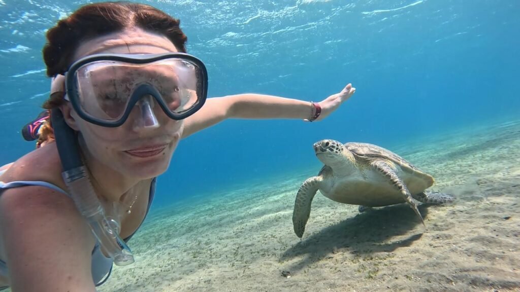 WhatsApp Image 2025-11-04 at 1.44.33 AM