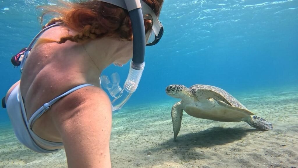 WhatsApp Image 2025-11-04 at 1.44.34 AM